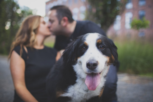 a couple's bernese mountain dog is in the forefront while the couple kiss
